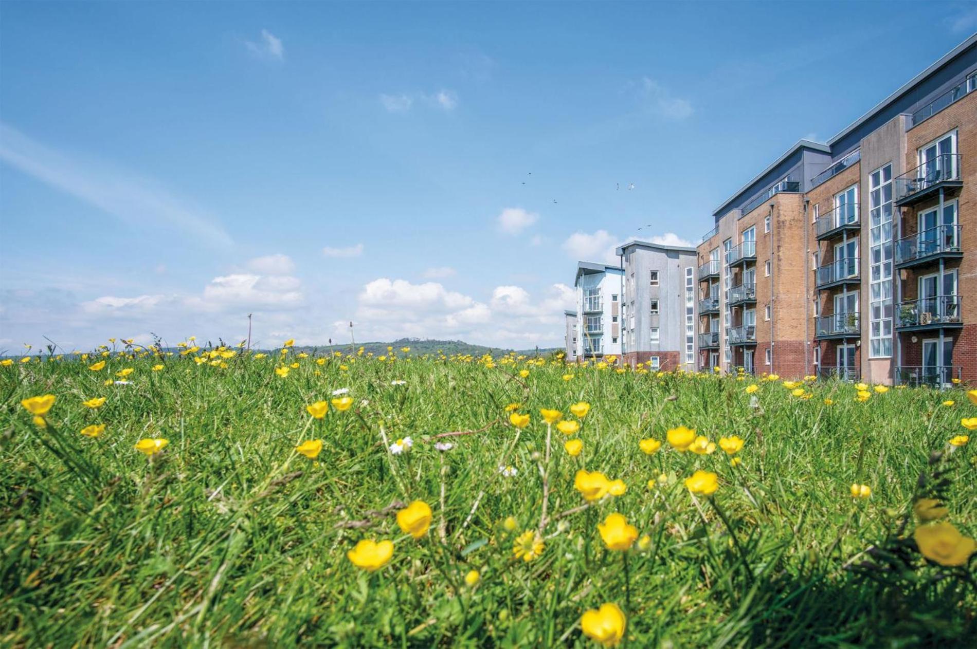 Beach View - 2 Bedroom Apartment - Llanelli Exterior foto